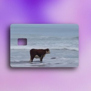 VACA